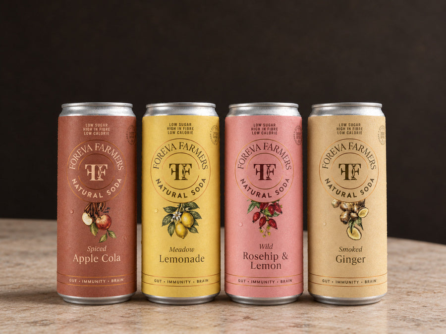 Natural Soda Bundle: Spiced Apple Cola, Meadow Lemonade, Wild Rosehip & Lemon, Smoked Ginger