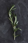 Sprig of fresh rosemary on a dark slate